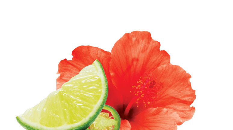 lime and hibiscus both ingredients of our Healthy Mexican Food, especially our Jamaica Dressing And Marinade